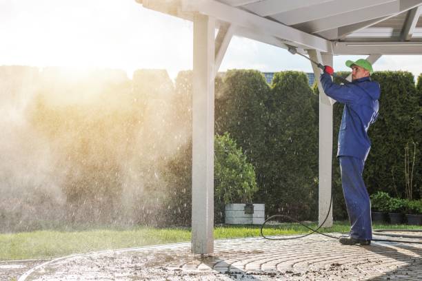 Best Rust Removal  in Homosassa, FL